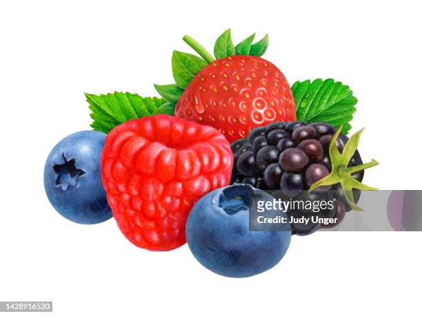 stockillustraties, clipart, cartoons en iconen met berry display - summer fruits