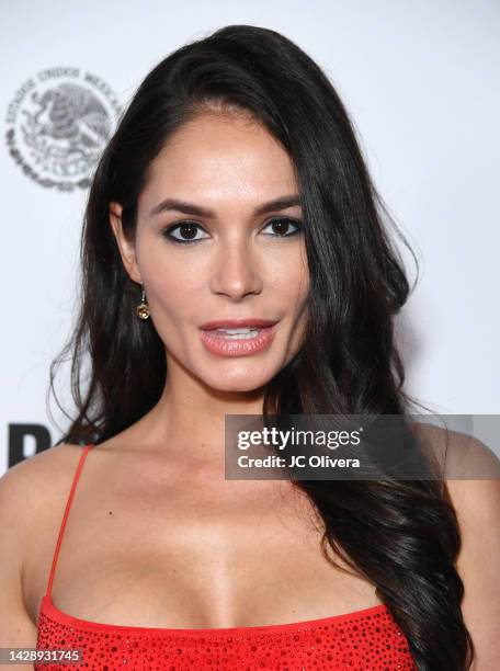 Christiana Leucas attends the 12th Edition of the GuadaLAjara Film Festival opening night at The Theatre at Ace Hotel on September 29, 2022 in Los...