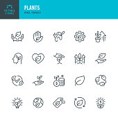 Plants - vector set of linear icons. Pixel perfect. Editable stroke. The set includes a Plant, Leaf, Green Energy, Care, Ecosystem, Planet Earth, Recycling Symbol, Seedling, High-Five, Profit Growth.