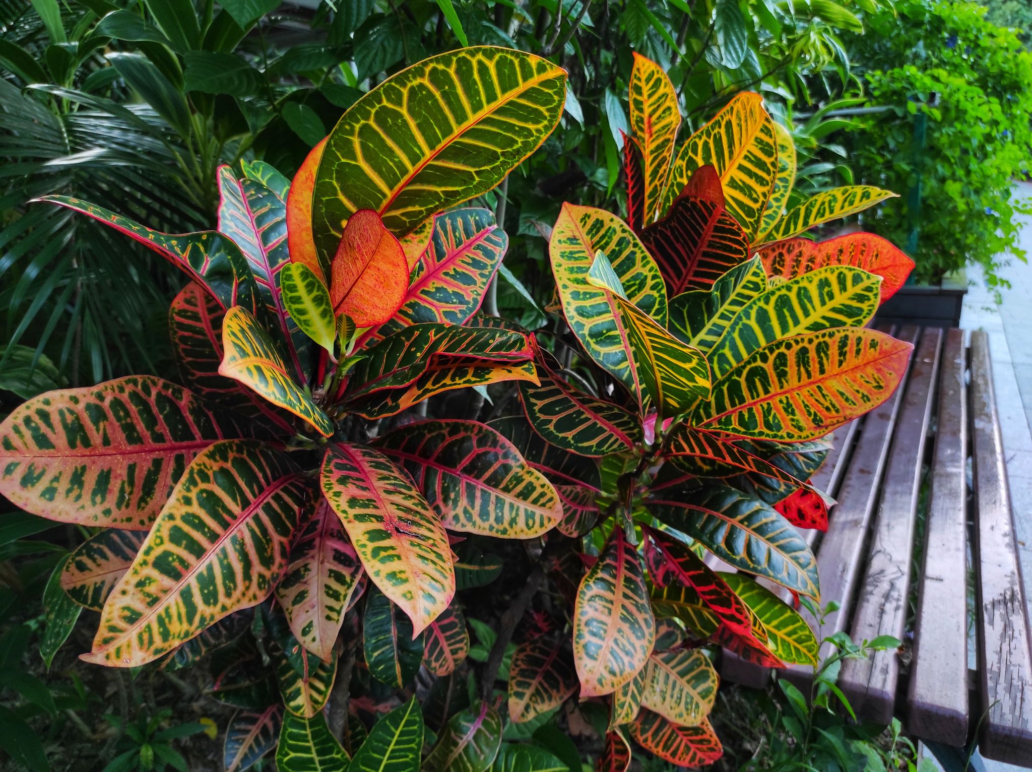 bed breakfast croton