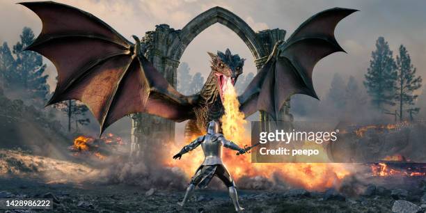 caballero de pie frente al dragón que respira fuego - dragón fotografías e imágenes de stock