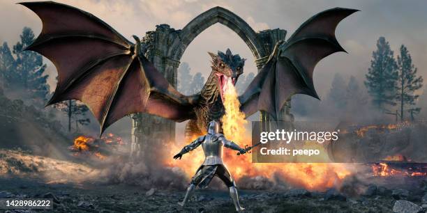 knight standing in front of fire breathing dragon - spar stock pictures, royalty-free photos & images