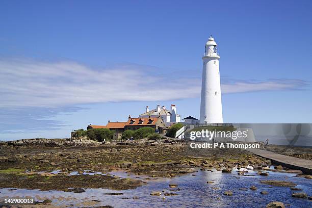 st marys lighthouse, whitley bay, tyne and wear, england - tyne and wear stock pictures, royalty-free photos & images