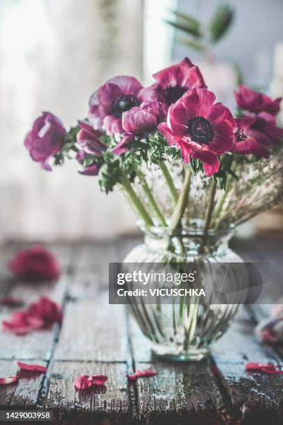 anemone flowers bunch in glass vase - anemone flower arrangements stock pictures, royalty-free photos & images