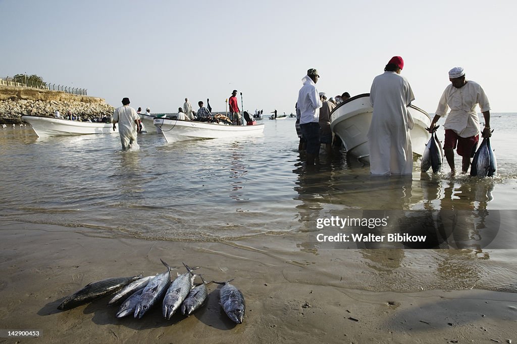 OMAN-Sharqiya Region-Sur: Fishermen on Sur Corniche