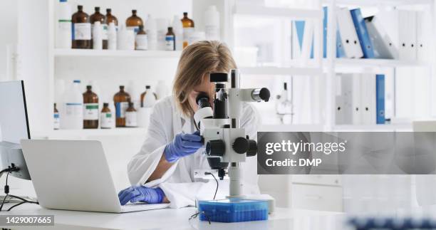 doctora, científica e investigadora con microscopio, portátil y tecnología para la innovación, la educación y la analítica futurista. enfermera, profesional y trabajador médico que trabaja con datos de medicina en el laboratorio. - método científico fotografías e imágenes de stock