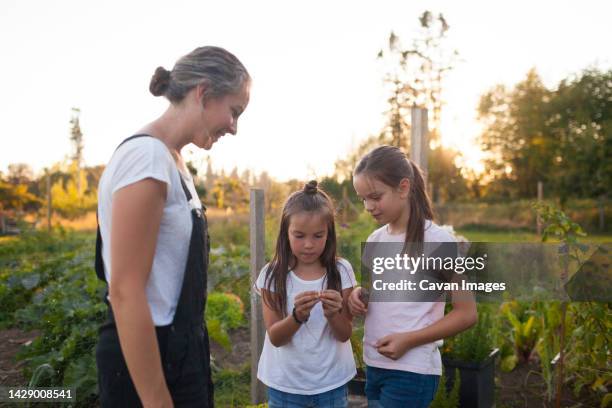 mother and her two daughter standing in their garden in fort langley - langley british columbia stock pictures, royalty-free photos & images