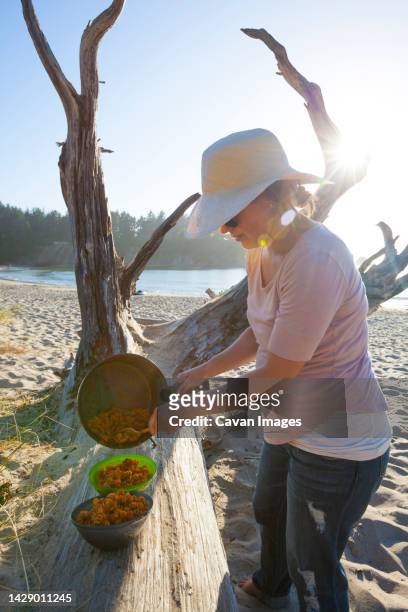 close-up of a woman serves pasta dinner on the beach - sunset bay state park stock pictures, royalty-free photos & images