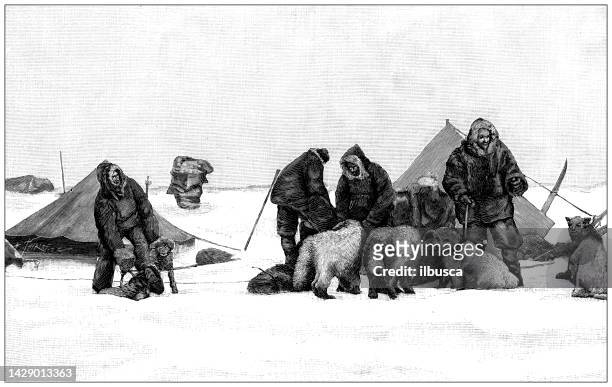 antique illustration: fridtjof nansen north pole expedition - arctic explorer stock illustrations