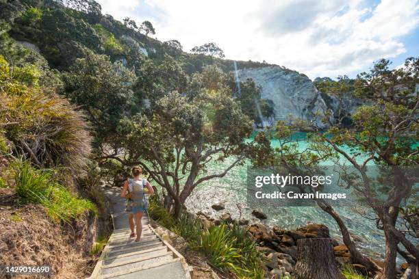 woman walking towards stingray beach, hahei, coromandel, new zealand - coromandel peninsula stock pictures, royalty-free photos & images