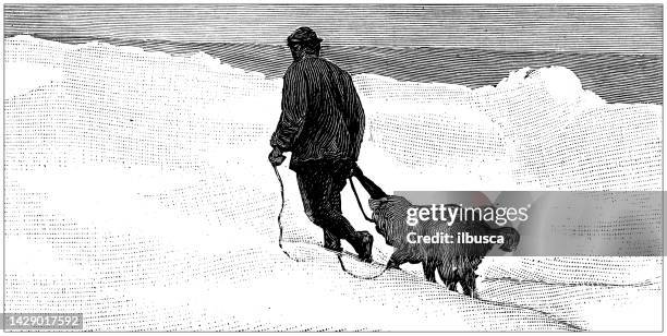bildbanksillustrationer, clip art samt tecknat material och ikoner med antique illustration: fridtjof nansen north pole expedition, killing a dog - mammal stock illustrations