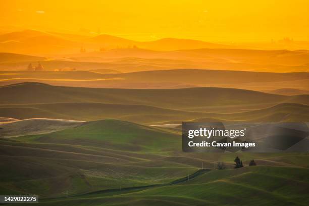 scenery with rolling hills at sunrise, steptoe butte state park, palouse, washington state, usa - palouse imagens e fotografias de stock