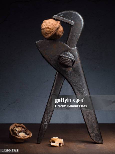 still life with walnuts and tongs - nutshell stock pictures, royalty-free photos & images