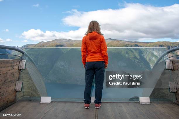 tourist enjoying fjord view on stegastein viewpoint in norway - condado de more og romsdal fotografías e imágenes de stock