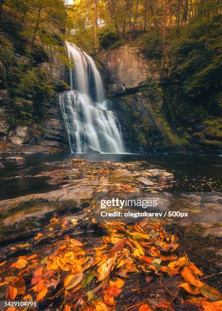 Bushkill Waterfall 249 Bushkill Creek Stock Photos, High-Res Pictures, and Images - Getty ...