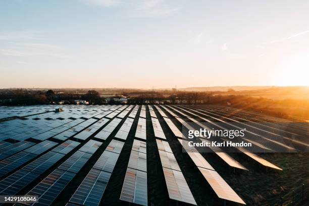 an aerial view of solar panels at sunrise - solkraftverk bildbanksfoton och bilder