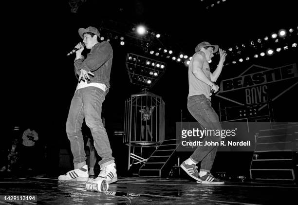 American rapper, musician, and music producer Michael "Mike D" Diamond and rapper, guitarist and actor Adam "Ad-Rock" Horovitz, of the American rap...
