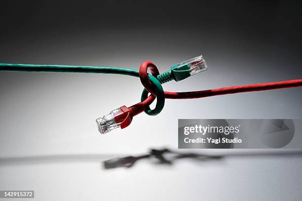 lan cables are connected - plugging in stockfoto's en -beelden