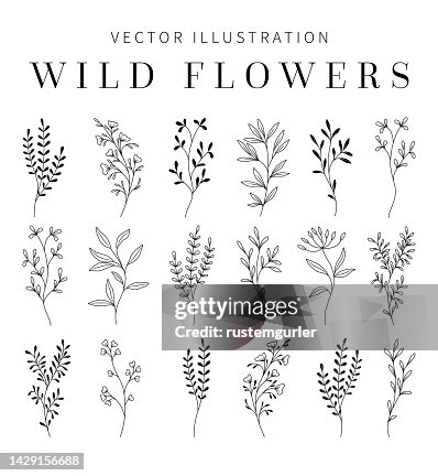 Fiori selvatici Clipart per invito a nozze. Fiori selvatici Clipart per invito a nozze.
