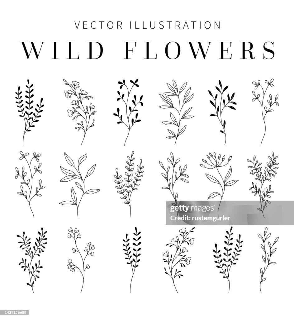 Wildflowers Clipart para convite de casamento.