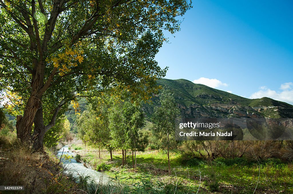 Green mountains, trees and river with blue sky