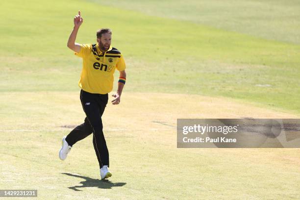 Andrew Tye of Western Australia celebrates the wicket of Sean Abbott of New South Wales during the Marsh One Day Cup match between Western Australia...