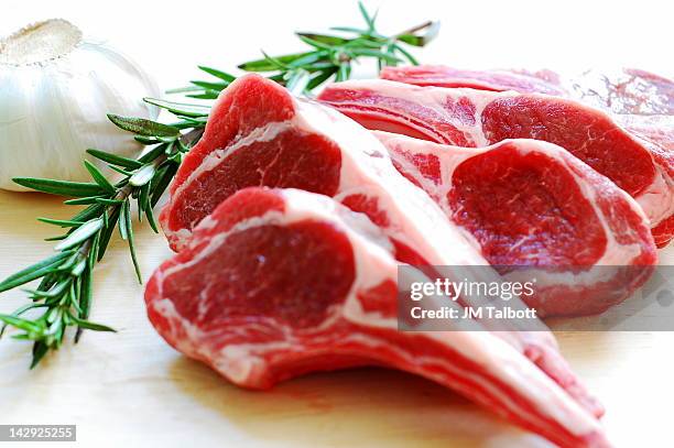 lamb chops and rosemary - lamb bildbanksfoton och bilder