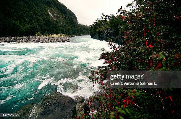 petrohue river - puerto montt stock pictures, royalty-free photos & images