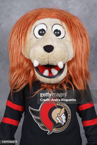 Spartacat of the Ottawa Senators poses for his official headshot for the 2022-2023 season on September 21, 2022 at Canadian Tire Centre in Ottawa,...