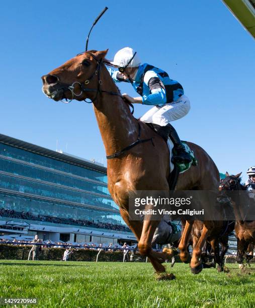 Ethan Brown riding Smokin' Romans winning Race 7, the Tab Turnbull Stakes, during Turnbull Stakes Day at Flemington Racecourse on October 01, 2022 in...