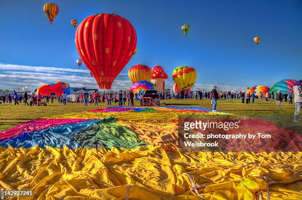 hot air balloon festival - albuquerque stock pictures, royalty-free photos & images