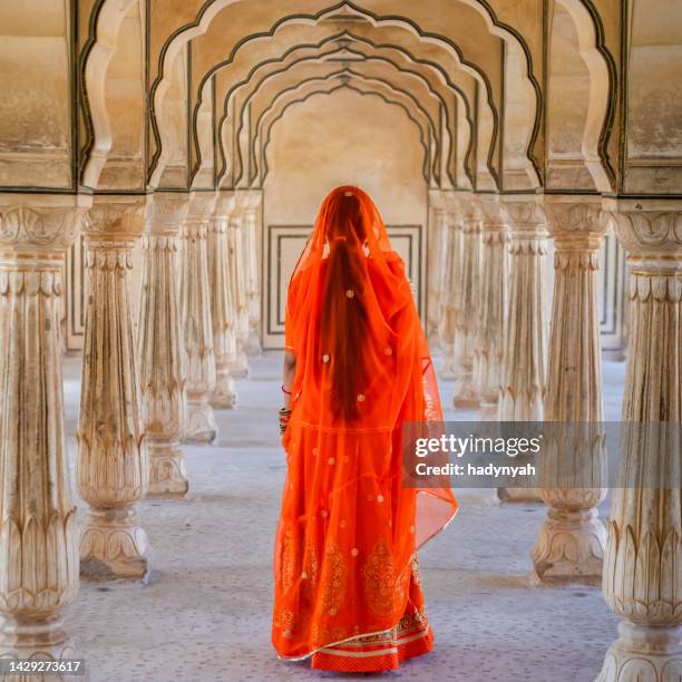 giovane donna indiana in posa in uno degli antichi palazzi del rajasthan - sari foto e immagini stock