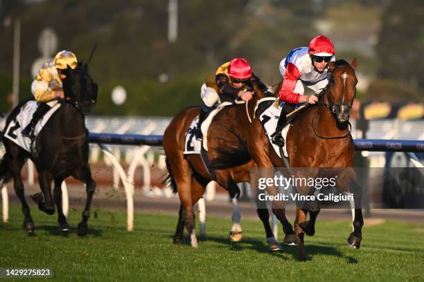 Damian Lane riding Mr Maestro winning Race 9, the Abc Bullion Super Impose Stakes, during Turnbull Stakes Day at Flemington Racecourse on October 01,...