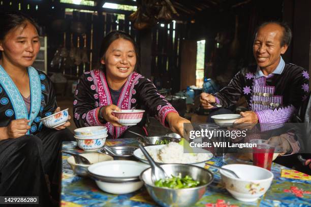 hmong hilltribe family chiang mai, thailand - cidade de chiang mai imagens e fotografias de stock