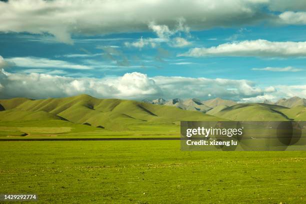 vast grasslans in tibet - grass land stock pictures, royalty-free photos & images