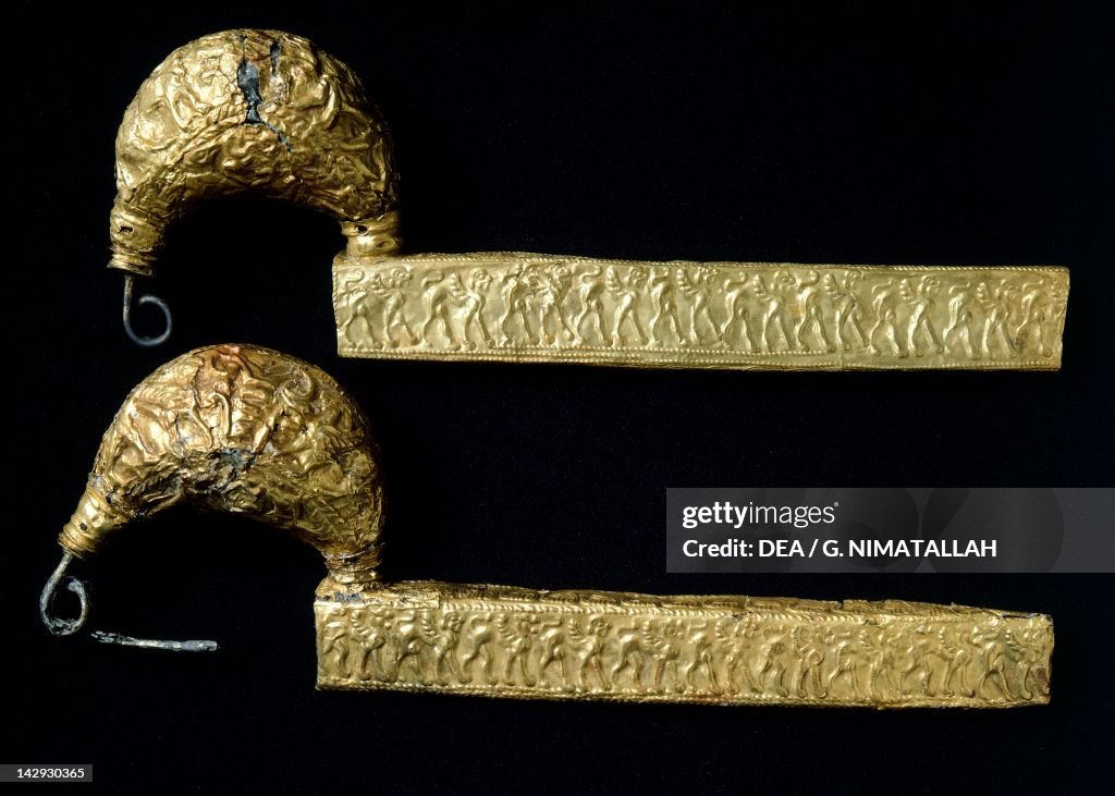 Leech-shaped gold brooch