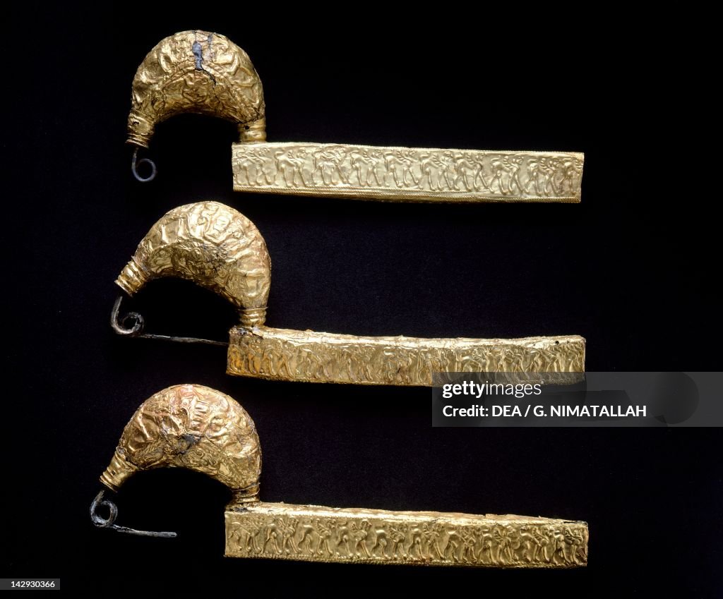 Gold leech-shaped fibula