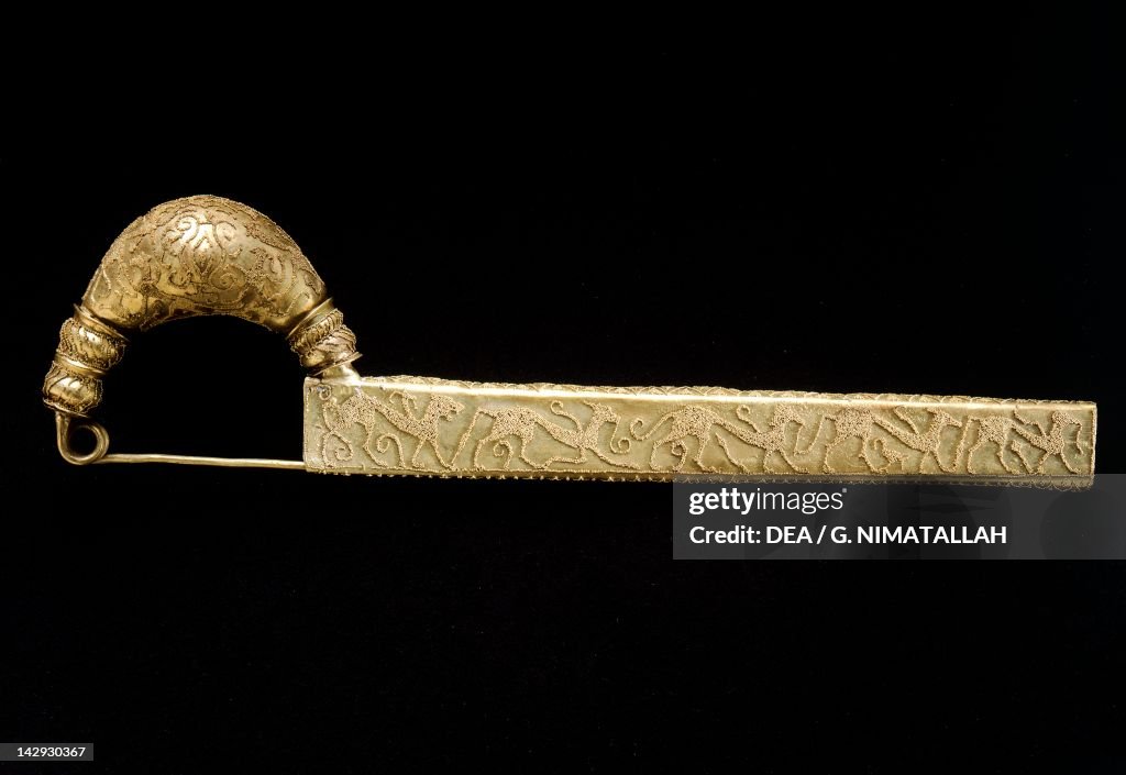 Gold leech-shaped fibula
