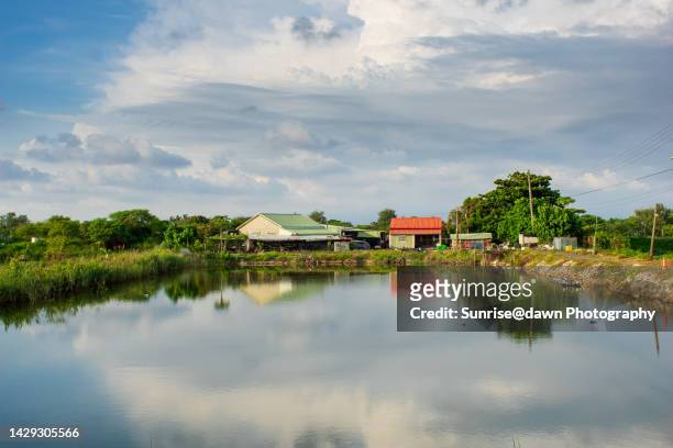 a fish farming pond - tainan stock pictures, royalty-free photos & images