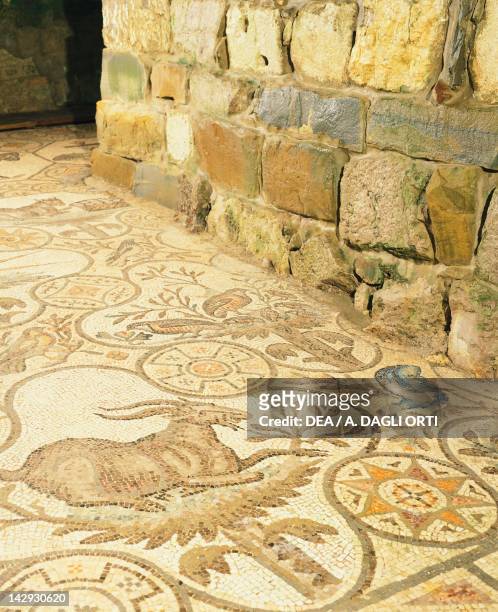 Floor mosaic unearthed in the Crypt of Excavations under the Patriarch Poppo's Bell Tower of the Basilica of Aquileia , Friuli Venezia Giulia.