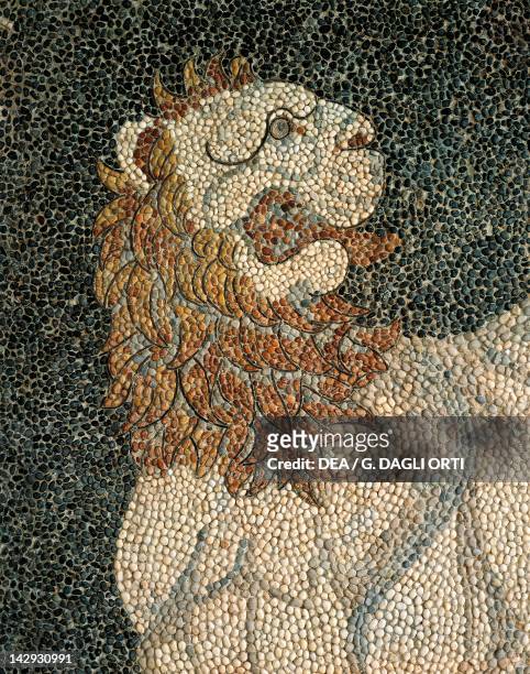 Alexander the Great and Hephaestion during a lion hunt, ca 320 BC, mosaic in peristyle house 1 , Room C, Pella, Greece. Detail showing the lion....