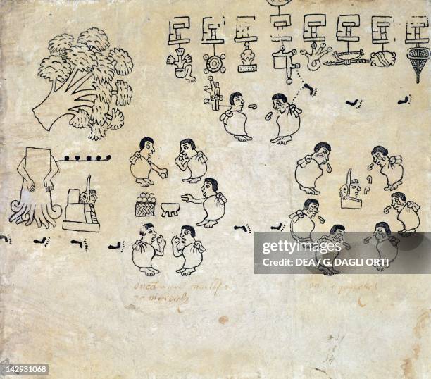 249 Aztec Codex Stock Photos, High-Res Pictures, and Images - Getty Images