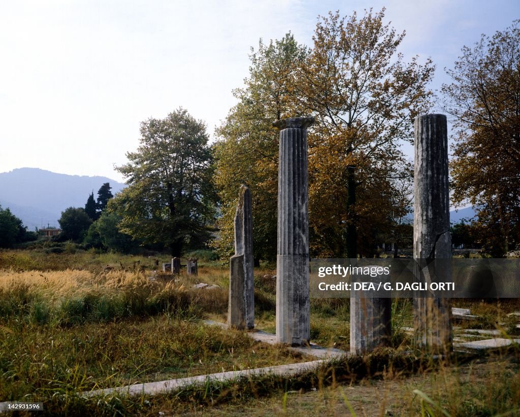 Columns in the Agora (forum) of Thassos