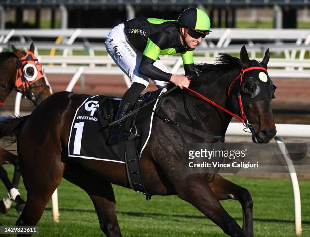 Joshua Parr riding Private Eye winning Race 8, the Gilgai Stakes , during Turnbull Stakes Day at Flemington Racecourse on October 01, 2022 in...
