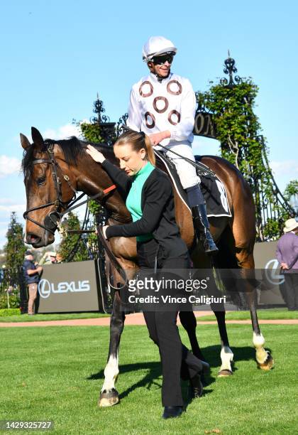 Michael Dee riding Lunar Flare after winning Race 6, the The Lexus Bart Cummings, during Turnbull Stakes Day at Flemington Racecourse on October 01,...