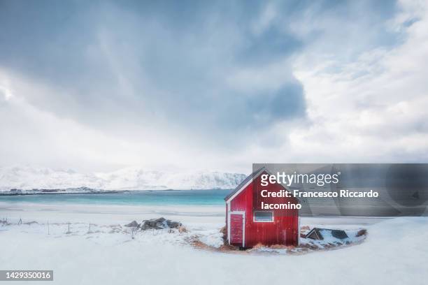 red house on a beach in the snow, lofoten islands. norway - fjord stockfoto's en -beelden
