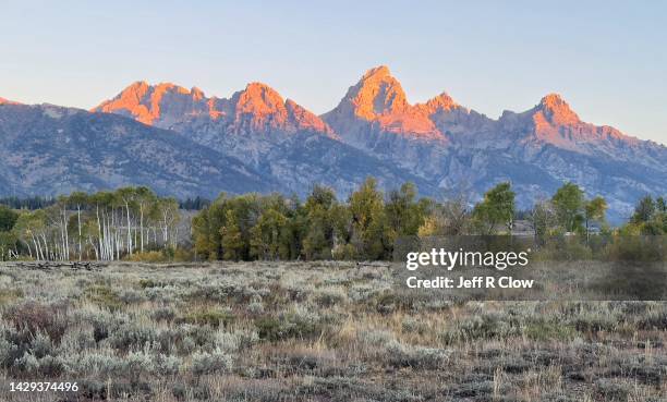 pre dawn colors in grand teton national park - 空き地 ストックフォトと画像