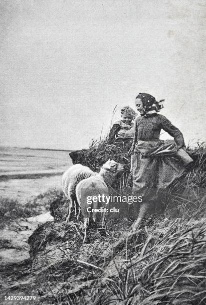 shepherdess with daughter at the wadden sea - wattenmeer national park stock illustrations