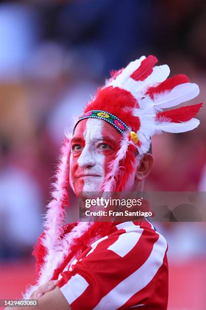 Fan look on prior to the LaLiga Santander match between Sevilla FC and Atletico de Madrid at Estadio Ramon Sanchez Pizjuan on October 01, 2022 in...