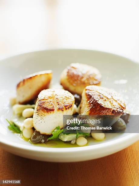 seared sea scallops - conchiglia di san giacomo foto e immagini stock